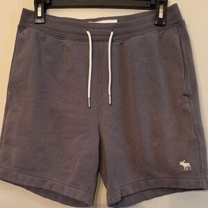 Abercrombie & Fitch Men's Fleece Shorts in Gray